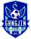 Gangjin Swans Feminino