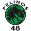 Felinos 48 AC