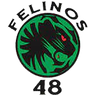 Felinos 48 AC