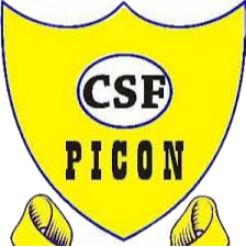 CSF Picon