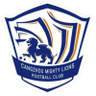 Cangzhou Mighty Lions FC (2011-2025)