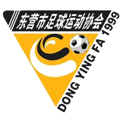 Equipe de Dongying