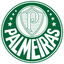 Palmeiras Juvenil