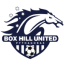 Box Hill Femininas