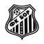 Bor 1919