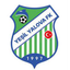 Yeşil Yalova FK
