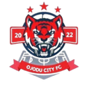 Ojodu City Juvenil
