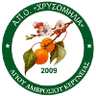 AMOK Chrysomilia (fem.)