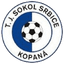 TJ Sokol Srbice