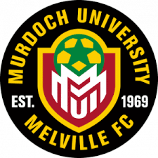 Universidad Murdoch