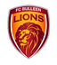 Bulleen Lions Sub-23