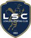 Racing Levallois sub-19