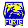 Forte FC Sub-20