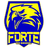 Forte Rio Bananal Sub-20