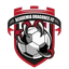 Academia Dragões FC
