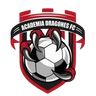Academia Dragões FC
