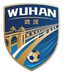 Equipo de Wuhan