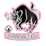 CD Novillos Neza