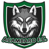 Acámbaro FC
