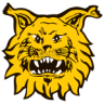 Ilves II Feminino
