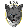 ŽNK Radomlje Feminino
