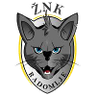 ŽNK Radomlje Feminino