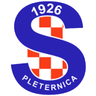 NK Slavija Pleternica