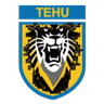 Nanjing Tehu Football Club