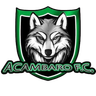 Acambaro FC