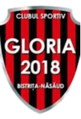 Gloria 2018 Bistrița-Năsăud Femenina