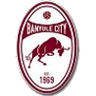 Banyule City