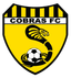 Bentleigh United Cobras