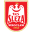 Sleza Wroclaw femenino