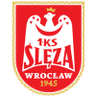 Sleza Wroclaw femenino