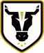 Bulls Academy Femenino