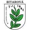 TJ Družstevník Bíťarová
