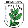TJ Družstevník Bíťarová