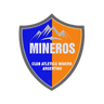CA Minero Argentino
