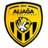 Aliağa Fútbol