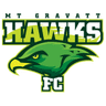 Mount Gravatt Hawks Sub-23