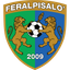 FeralpiSalo Sub-19