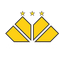 Juvenil del Criciúma SC
