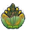 Provincia de Kampong Speu