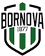 Bornova 1877 SK