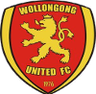 Wollongong United