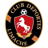 Deportes Limache (F)