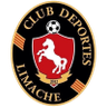 Deportes Limache (F)