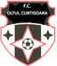 Oltul Curtișoara