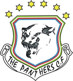 Panthers FC