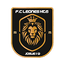 Leones HT6